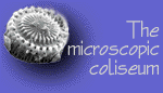 The Microscopic Coliseum